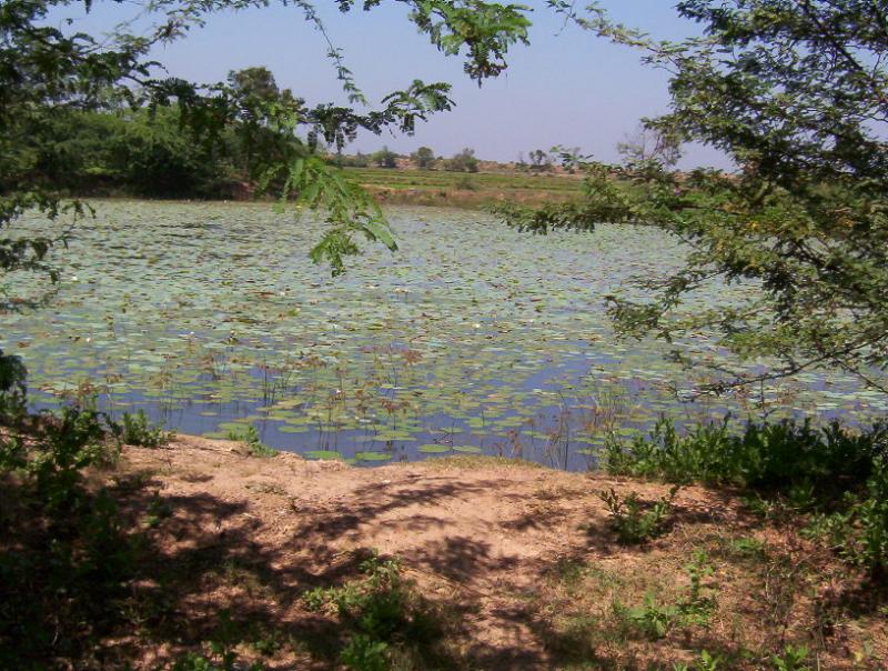 thirukkulam