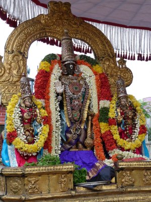 Aalavandar Thirunakshatram - Parthasarathi during purappadu2.JPG