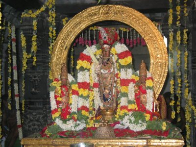 varadan in sikathadai (parivettai alankaram is still for devotees).JPG