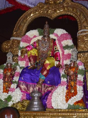 5th day-Sri Ranaganathar starting for Theppam.jpg