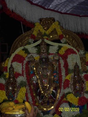 Sri Parthasarathy Thiruvenkadamudayan Thirukolam1_DAY 6.jpg
