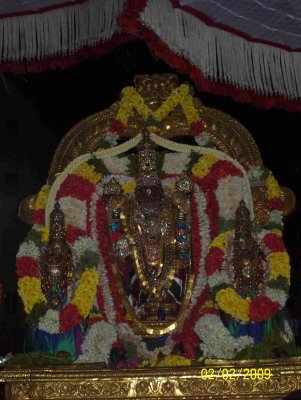 Sri Parthasarathy Thiruvenkadamudayan Thirukolam7_DAY 6.jpg