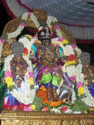 Sri Parthasarathy_Rajagopalan Thirukolam4_8th day.jpg