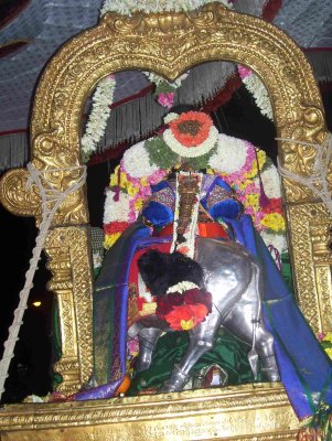 Sri Parthasarathy_Rajagopalan Thirukolam7_8th day.jpg