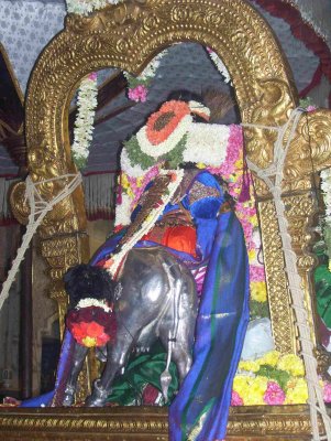 Sri Parthasarathy_Rajagopalan Thirukolam8_8th day.jpg