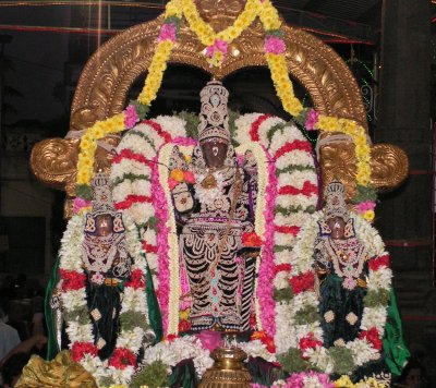 Parthasarathi in Muthangi.jpg