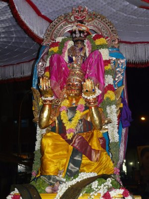 Panguni Uttram  Sri Ranganathar in kannAdi Garudan-1.JPG