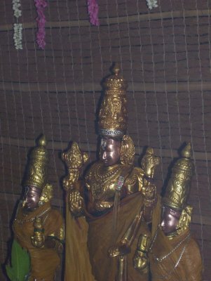Vijayaragavan Thirumanjanam1.jpg
