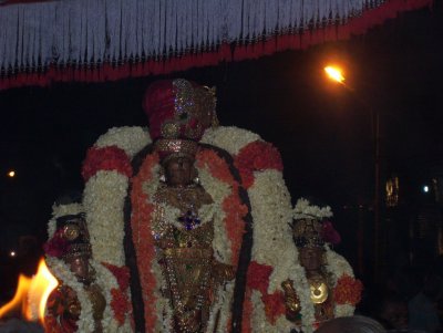 Sri Perarulalan_Thiruther uthsavam6.jpg