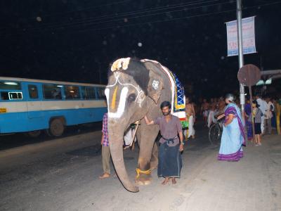 Sri Sannidhi mAlOlan has gone to mudumalai for yearly camp.  Another elephant performing mAlOlan's duty.