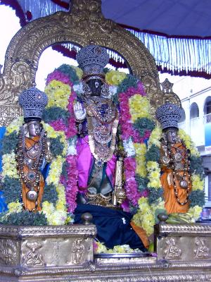 Parthasarathi on embar sattrumarai day