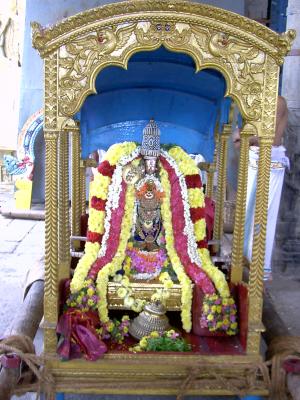 Thirukkachi Nambigal in Mena Pallakku Vahanam1.JPG