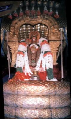 Ramanuja-on-swaroopa-vahanam-Sriperumbudur