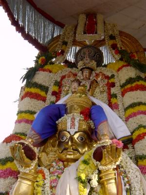 Sri Bakthavatsalan in Garuda sevai