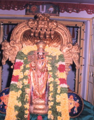 SriSailesadayapAtrar at Thirupathi