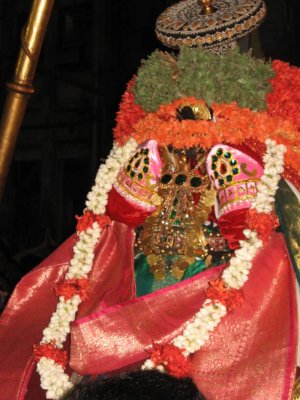 04-Partha Utsavam.Day 5.Evening.Patthiulaatthal.Pin Sevai.JPG