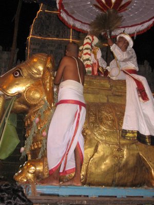 10-Partha Utsavam.Day 6.Evening.yAnai vAhanam side view.JPG