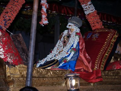 sarvadhAri Thirunakshathram