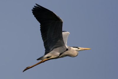 g3/95/360795/3/95216075.6L6g1OOR.jpg