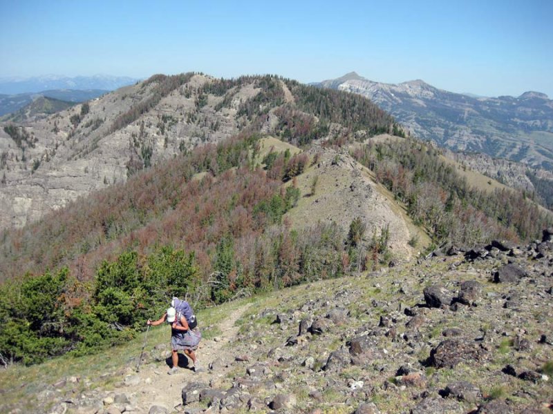 Skyline Trail