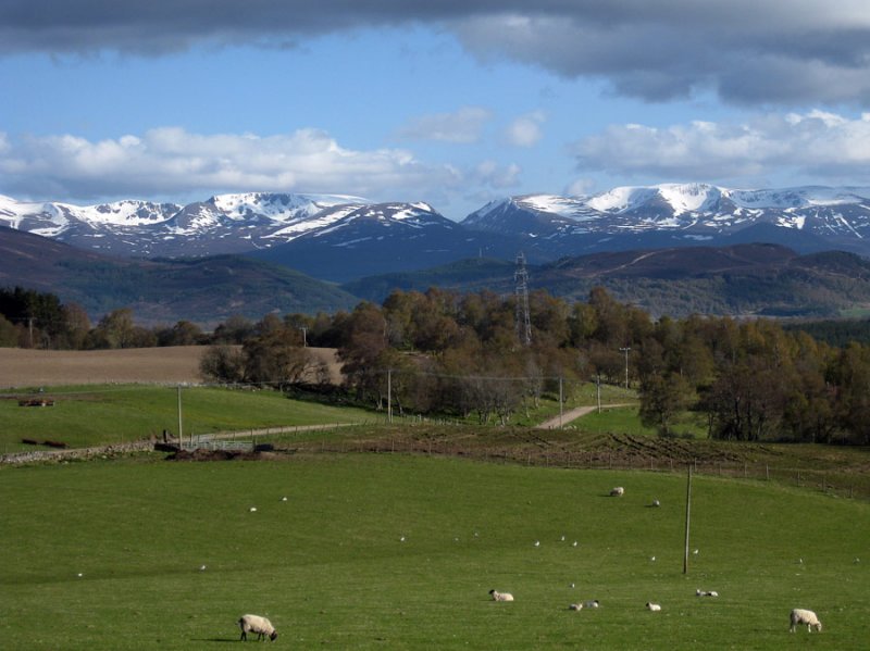 May 10 The Cairngorms from near Carrbridge
