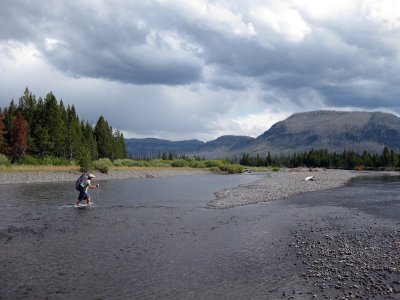 Wading Mountain Creek in Yellowstone