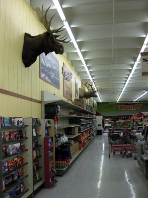 Pinedale supermarket with hunting trophies