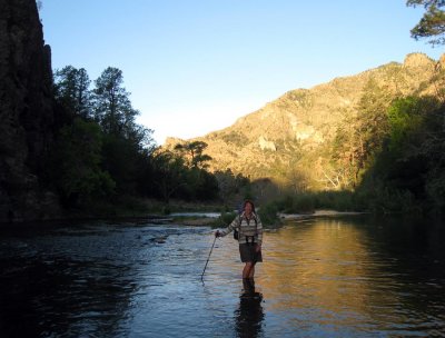 Early morning in the lower Gila river