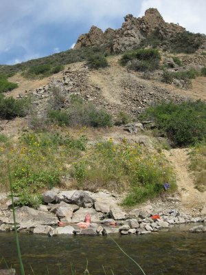 Hot Springs in the Jefferson River, 10 miles south of Whitehall