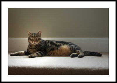 King of the stairs