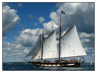 Mystic Whaler