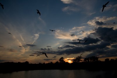 Sunset on Blue Heron Lake