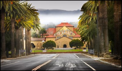 Palm Drive - Stanford University