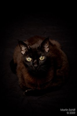 g3/95/398095/3/115017345.GgImenXf.jpg