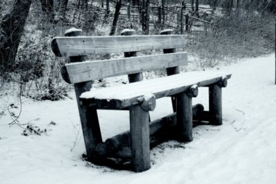 Cold Bench !!
