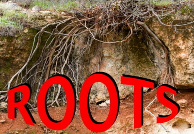 Anything to do with Roots