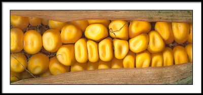 Golden Corn