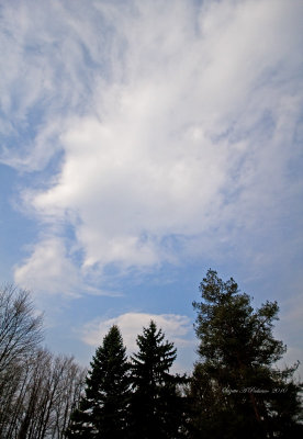 g3/95/398095/3/123535496.cdQHrbL7.jpg