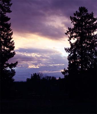 debi from or