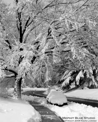 Snowy Road