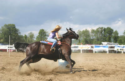 Barrel Horse County Fair 132