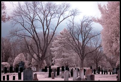 Infrared Graveyard