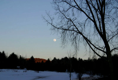 Moon at Dusk