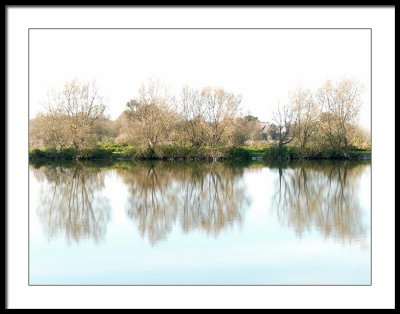 Fisherman's pond -Thetford
