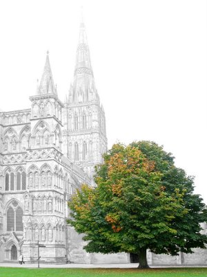 Cathedral Tree