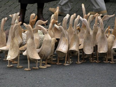 Why did the ducks cross the road?