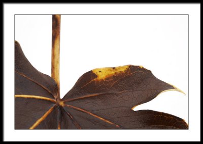 Leather look autumnal leaf..