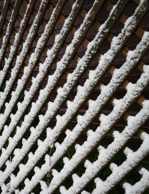 Snow on the lattice