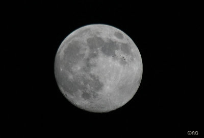 moon and birds