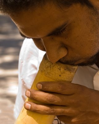Indigenous Australian Playing a didgeridoo.